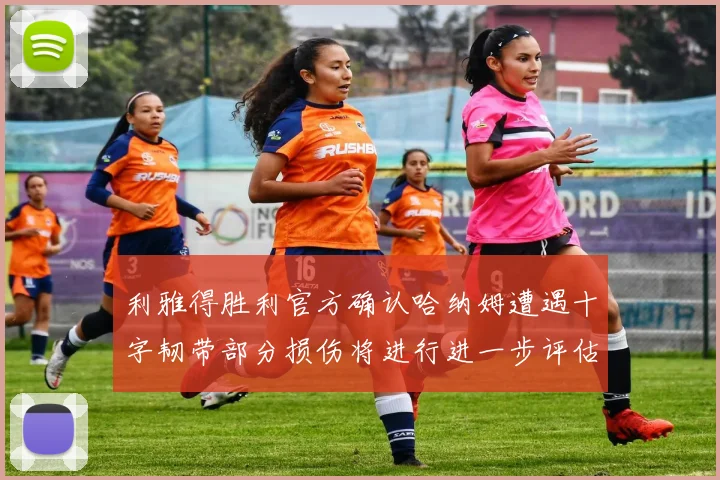 利雅得胜利官方确认哈纳姆遭遇十字韧带部分损伤将进行进一步评估